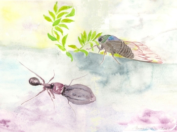 La Cigale et la Fourmi, Aquarelle de Marie Meynieux.