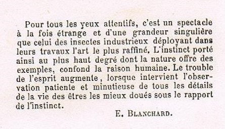 Souvenirs entomologiques 1879