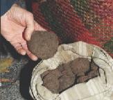 Truffes de Carpentras