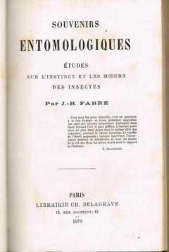 Souvenirs entomologiques 1879