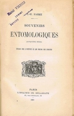 Série V des Souvenirs entomologiques
